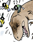 T. rex vs P. major